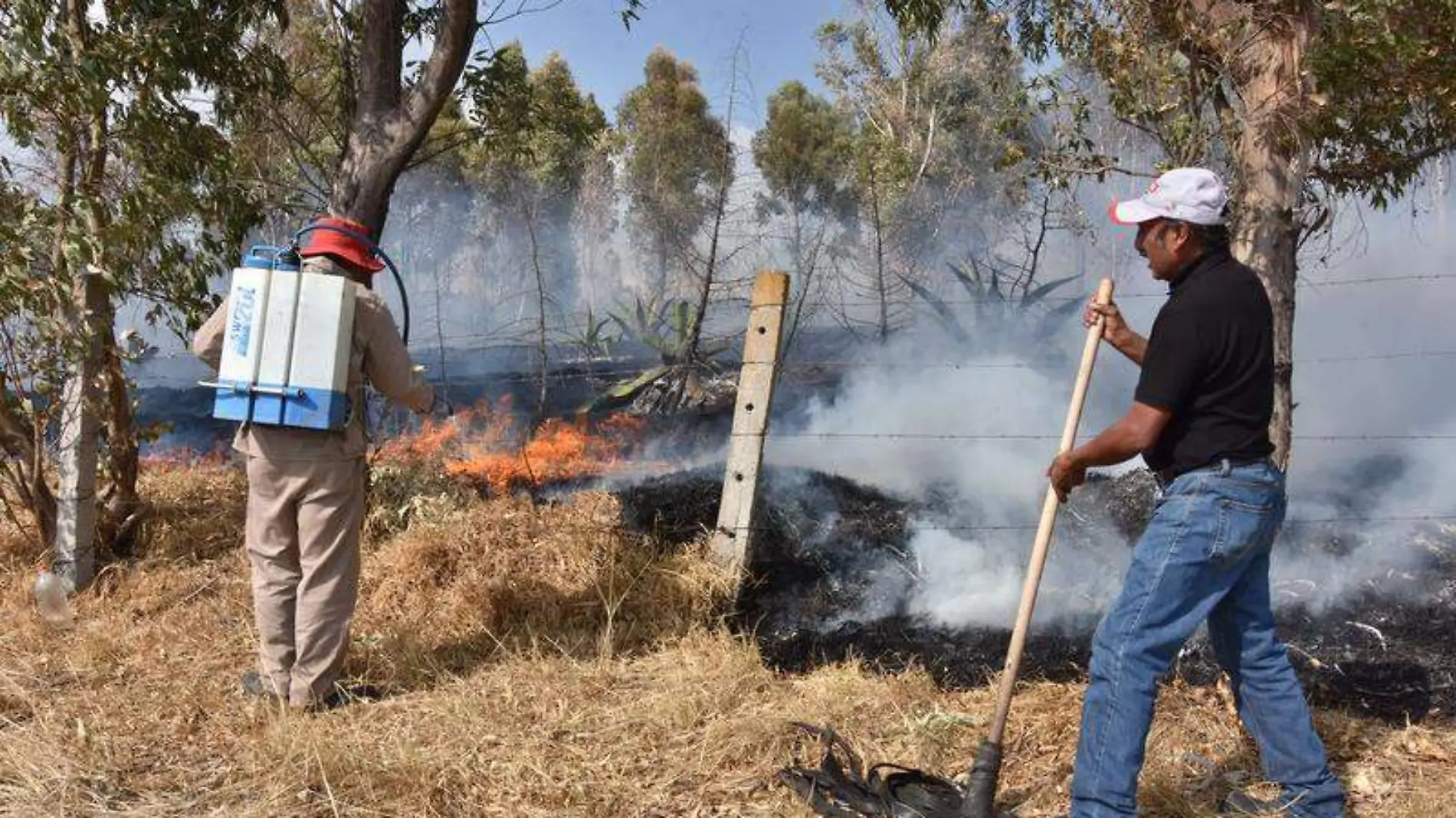 Incendios forestales (4)